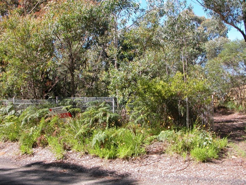 Wentworth Falls NSW 2782