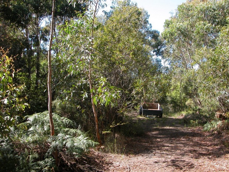 Wentworth Falls NSW 2782