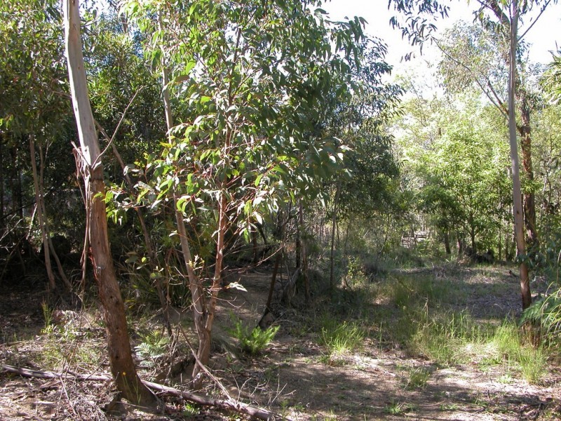 Wentworth Falls NSW 2782