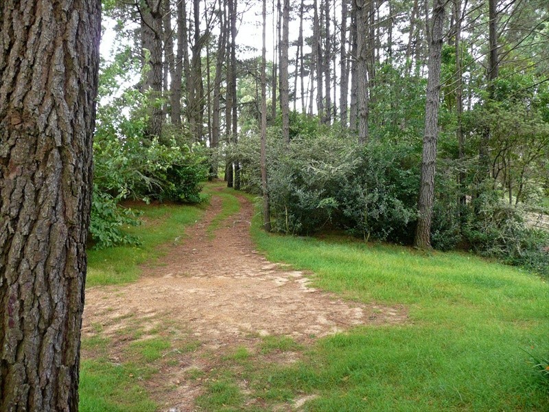 Wentworth Falls NSW 2782