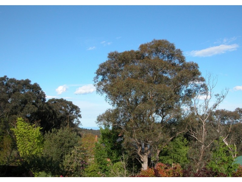 Wentworth Falls NSW 2782