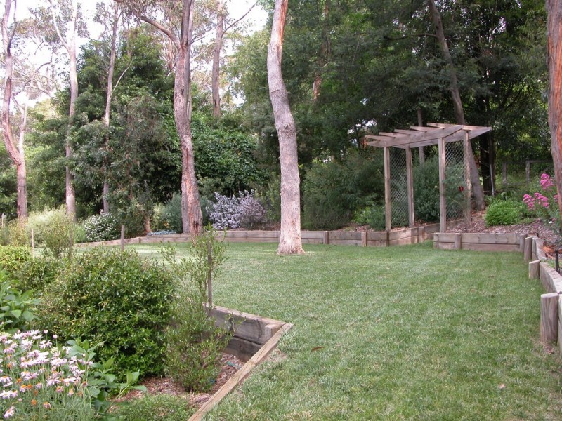 Wentworth Falls NSW 2782