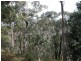 Wentworth Falls NSW 2782