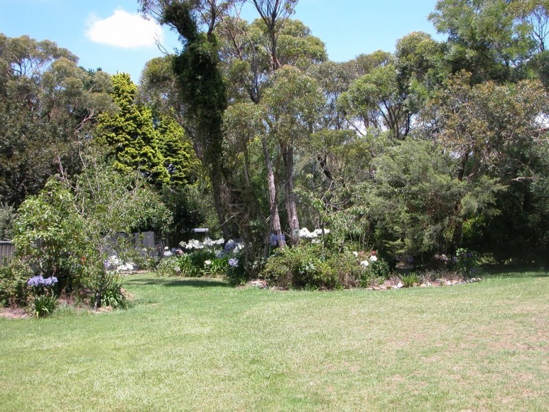 Wentworth Falls NSW 2782