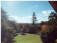 Wentworth Falls NSW 2782
