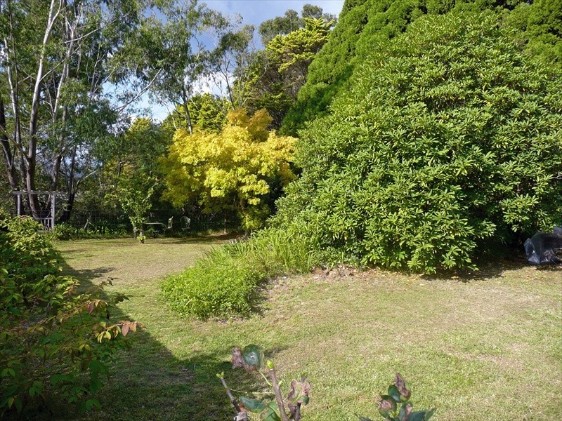 Wentworth Falls NSW 2782