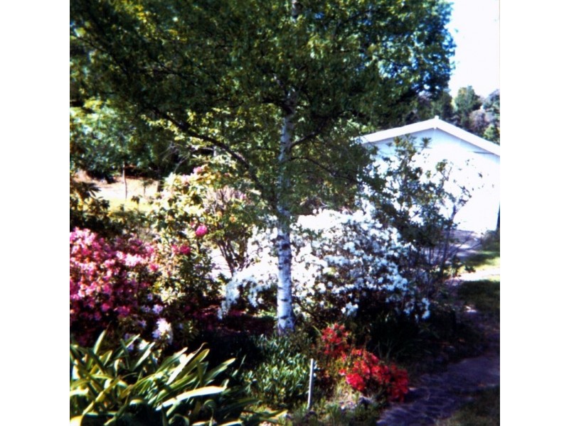 Wentworth Falls NSW 2782