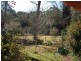 Wentworth Falls NSW 2782
