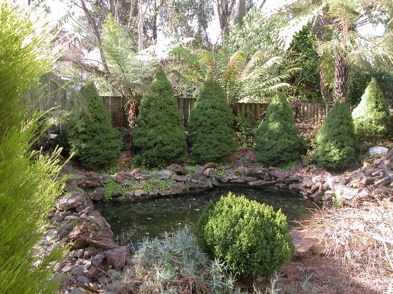 12 Erica Road, Wentworth Falls NSW 2782