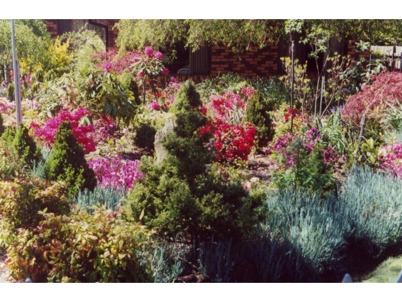 12 Erica Road, Wentworth Falls NSW 2782