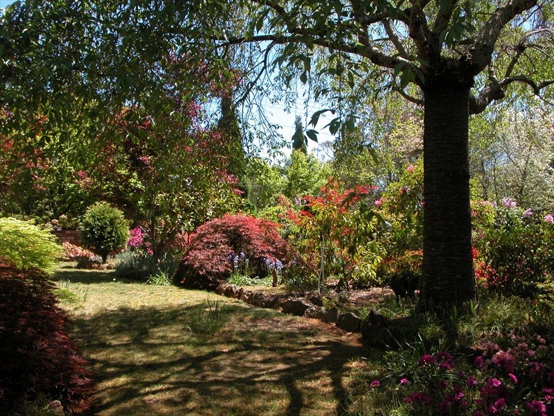 12 Erica Road, Wentworth Falls NSW 2782