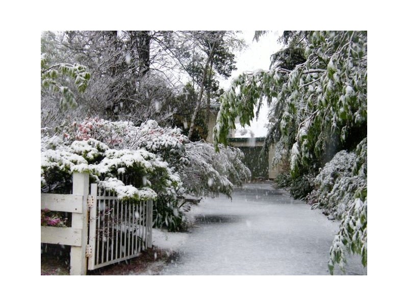 Wentworth Falls NSW 2782