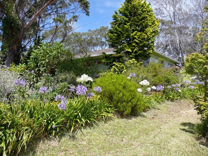 Wentworth Falls NSW 2782