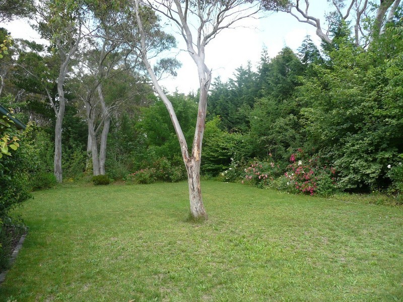 Wentworth Falls NSW 2782