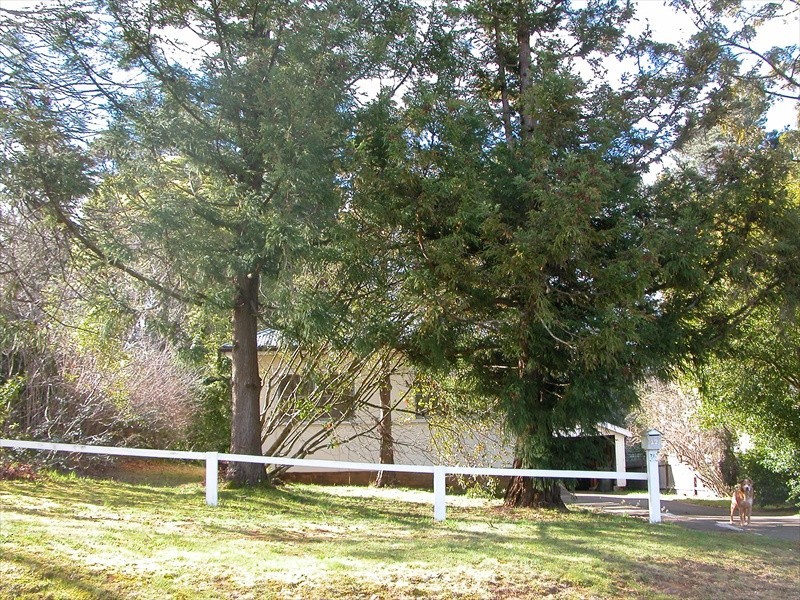 Wentworth Falls NSW 2782