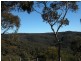 Wentworth Falls NSW 2782