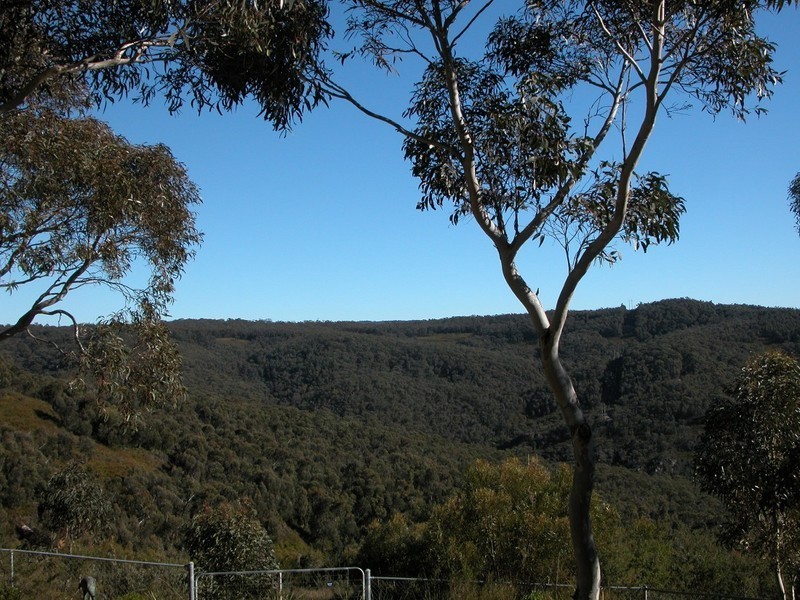 Wentworth Falls NSW 2782