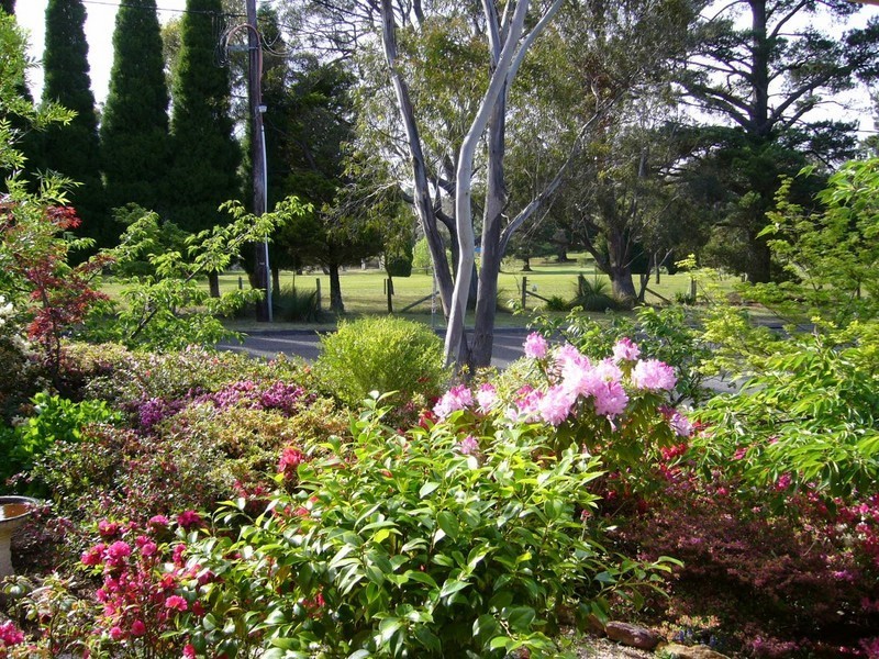 Wentworth Falls NSW 2782