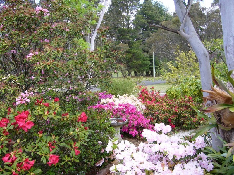 Wentworth Falls NSW 2782