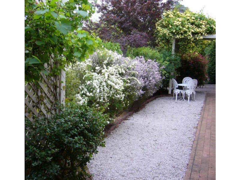 Wentworth Falls NSW 2782