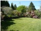 Wentworth Falls NSW 2782