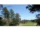 Wentworth Falls NSW 2782