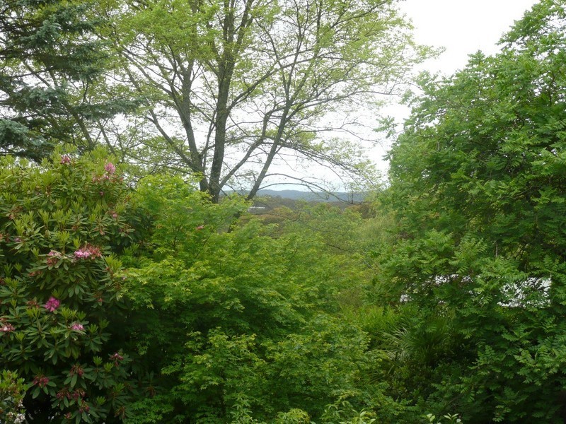 Wentworth Falls NSW 2782