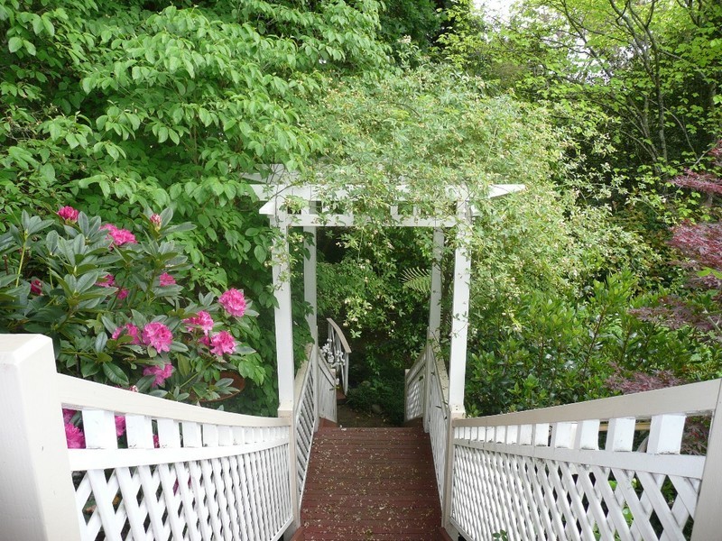 Wentworth Falls NSW 2782