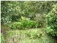 Wentworth Falls NSW 2782
