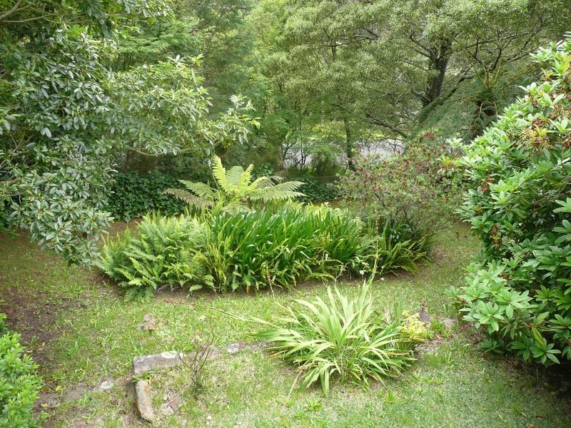 Wentworth Falls NSW 2782