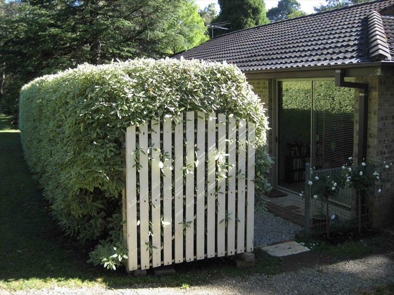 Wentworth Falls NSW 2782