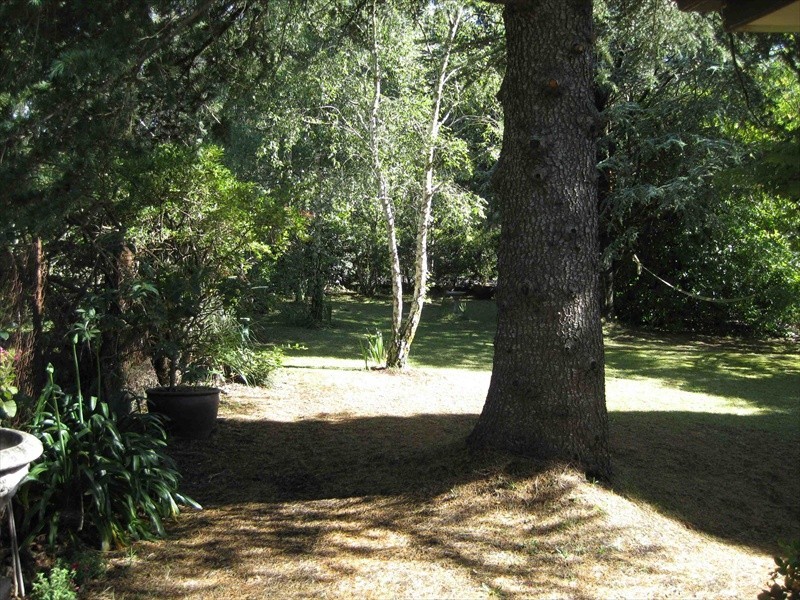 Wentworth Falls NSW 2782