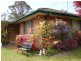 Wentworth Falls NSW 2782