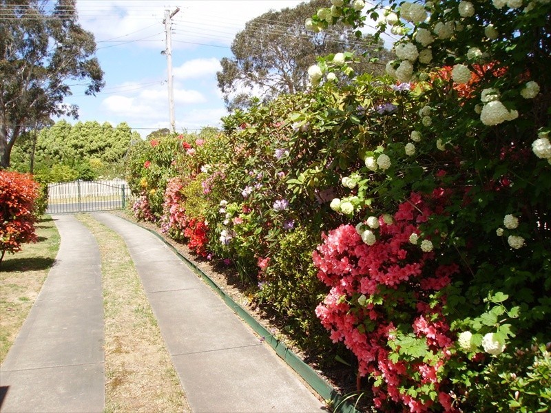 Wentworth Falls NSW 2782