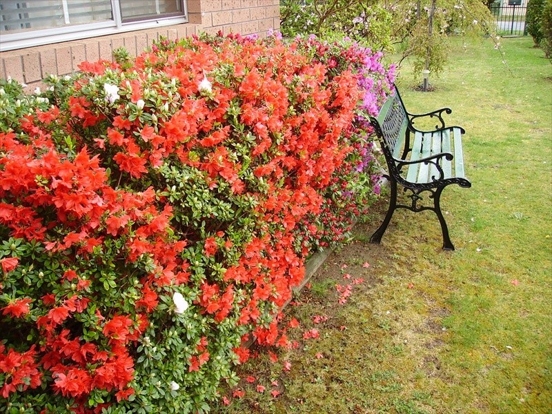 Wentworth Falls NSW 2782