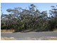 Wentworth Falls NSW 2782