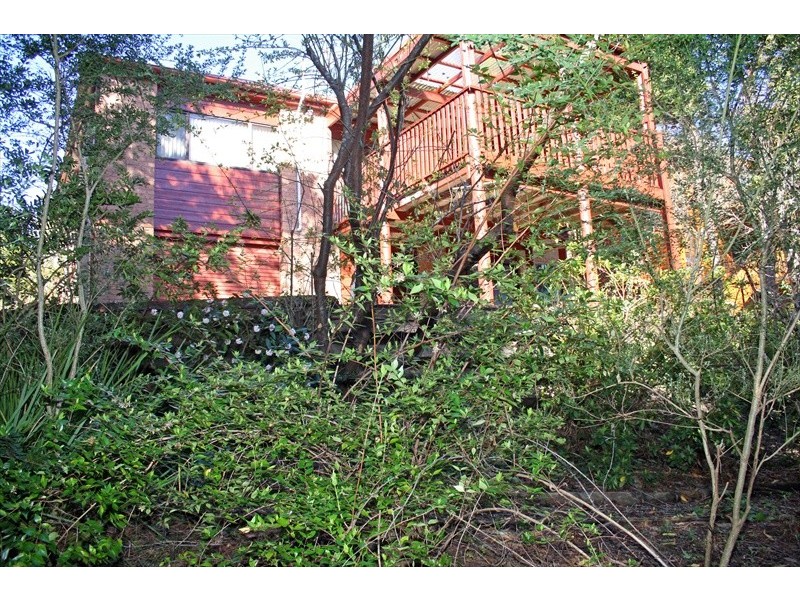 Wentworth Falls NSW 2782