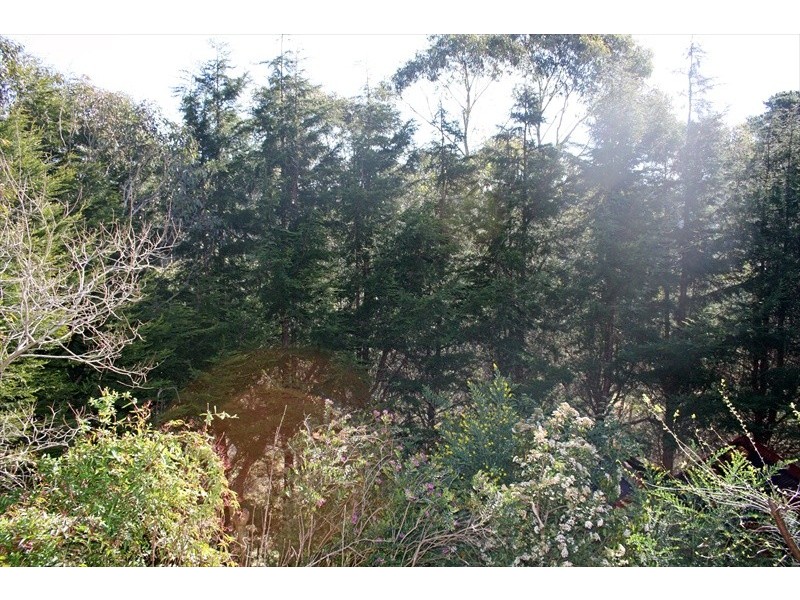 Wentworth Falls NSW 2782