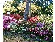 Wentworth Falls NSW 2782