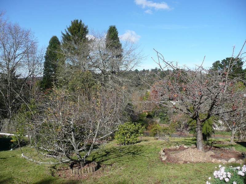 Wentworth Falls NSW 2782