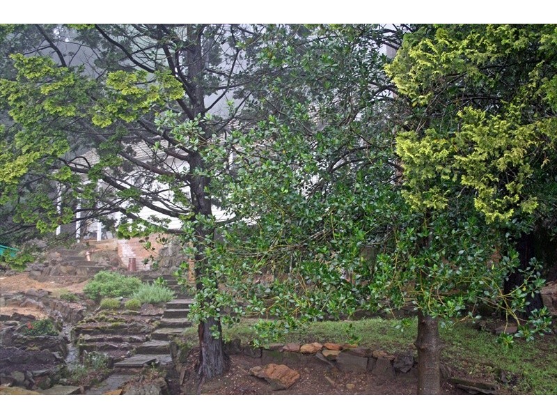 Wentworth Falls NSW 2782