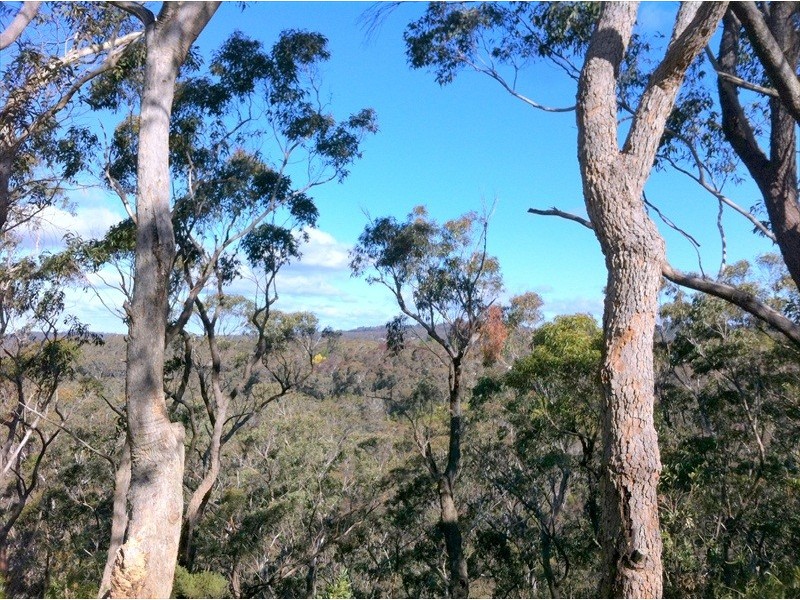 155 Henderson Road, Wentworth Falls NSW 2782