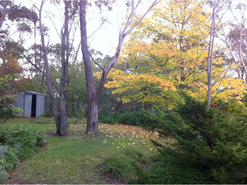 155 Henderson Road, Wentworth Falls NSW 2782