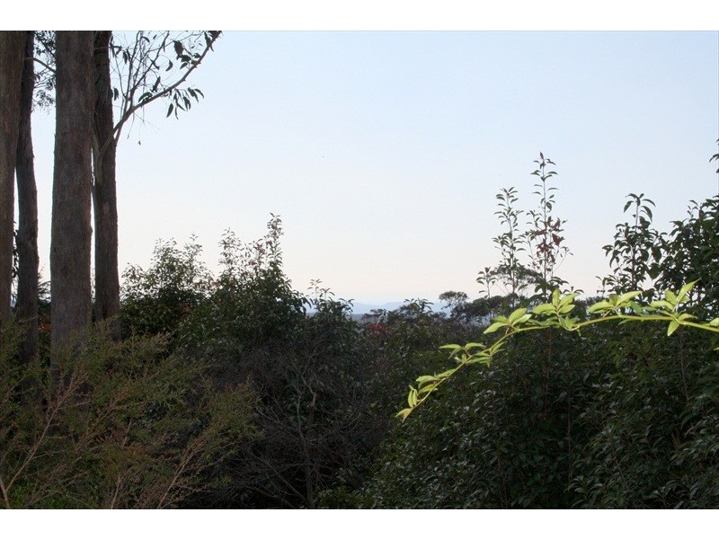 Wentworth Falls NSW 2782