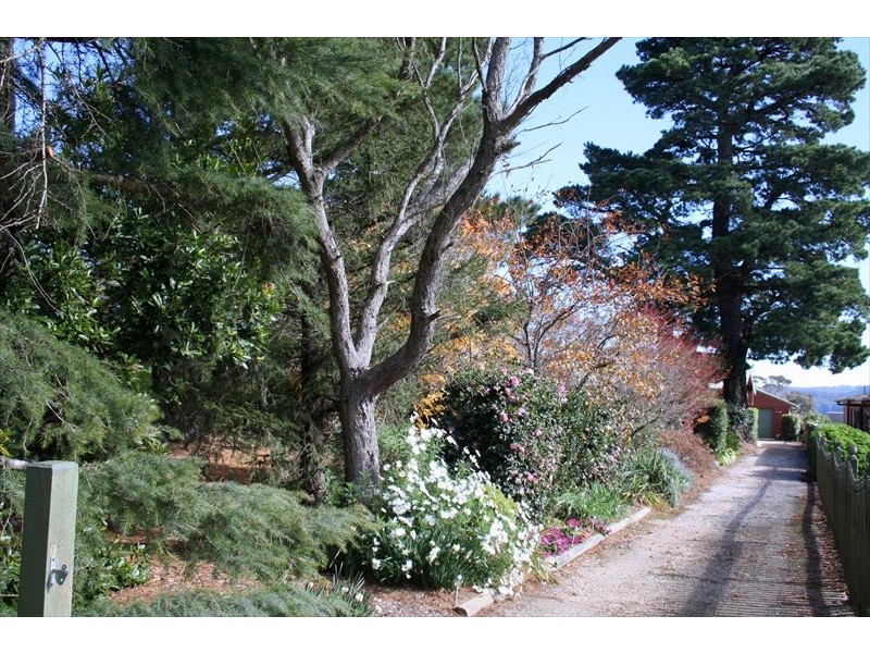 Wentworth Falls NSW 2782