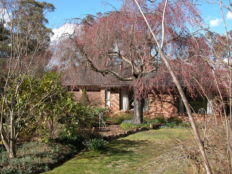 Wentworth Falls NSW 2782