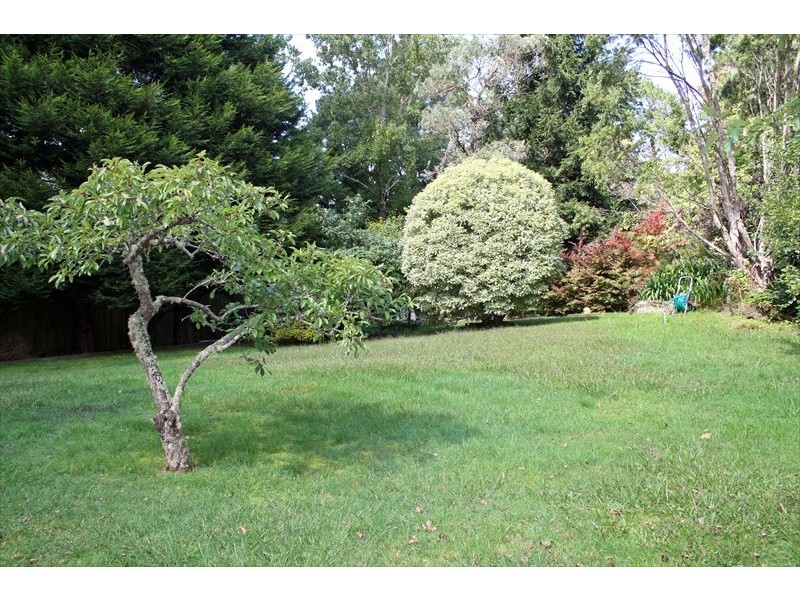 Wentworth Falls NSW 2782