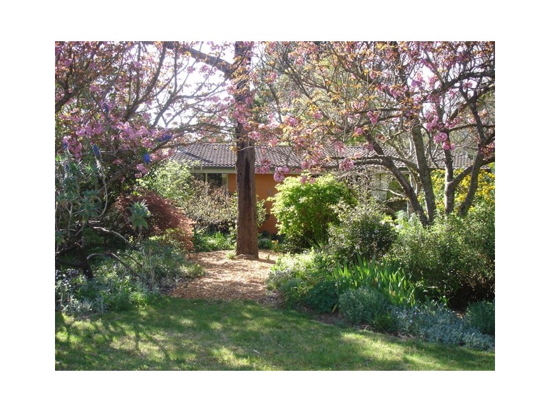 Wentworth Falls NSW 2782