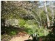 Wentworth Falls NSW 2782