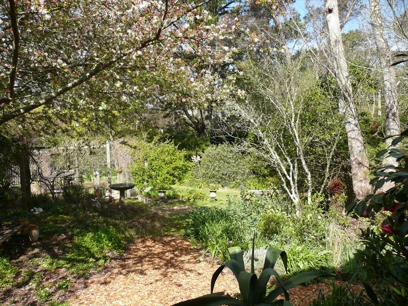 Wentworth Falls NSW 2782